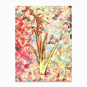 Impressionist Antholyza Aethiopica Botanical Painting in Blush Pink and Gold n.0029 Canvas Print