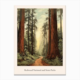 Redwood National And State Parks Canvas Print