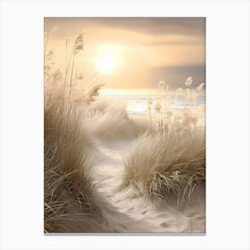 Sand Dunes 4 Canvas Print