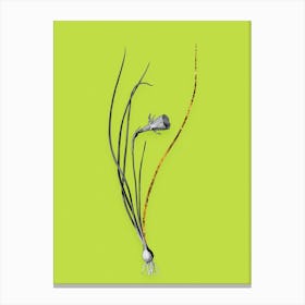 Vintage Daffodil Black and White Gold Leaf Floral Art on Chartreuse Canvas Print