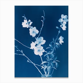 Ikebana V Canvas Print
