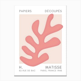 H Matisse 28 Canvas Print