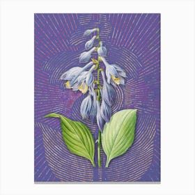 Vintage Blue Daylily Botanical Illustration on Veri Peri Canvas Print