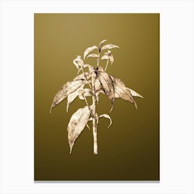 Gold Botanical Commelina Zanonia on Dune Yellow n.0057 Canvas Print
