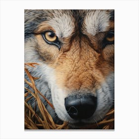 Honshu Wolf Eye 1 Canvas Print