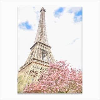 Eiffel Tower Magnolia Canvas Print