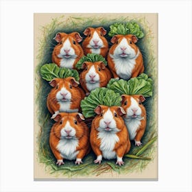 Guinea Pigs Canvas Print