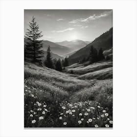 Morning Mist Canvas Print