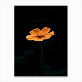 Single Orange Flower 16 Canvas Print