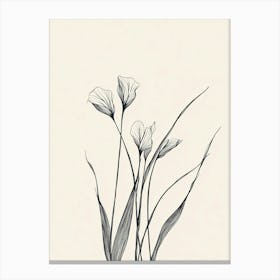 Flowers In The Grass Canvas Print