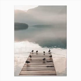 Ducks On Dock Canvas Print