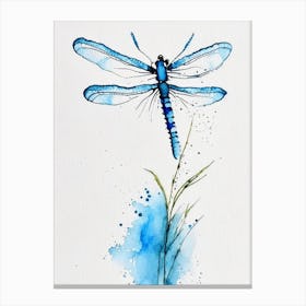 Blue Dasher Dragonfly Minimalist Watercolour 1 Canvas Print