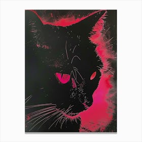 Cat With Red Eyes 8 Canvas Print