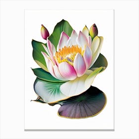 American Lotus Decoupage 2 Canvas Print