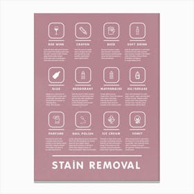 Stain Removal Instruction With Bohemian Laundry   Canvas Print