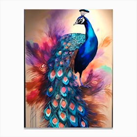 Peacock Feathers  Canvas Print