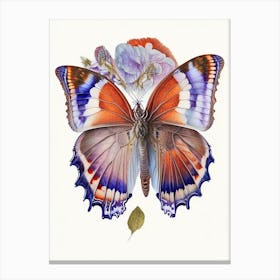 Gatekeeper Butterfly Decoupage 2 Canvas Print