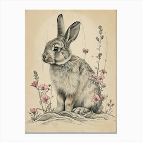 Mini Satin Rabbit Drawing 1 Canvas Print
