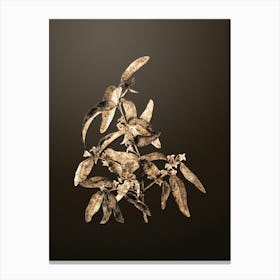 Gold Botanical Russian Olive on Chocolate Brown n.0684 Canvas Print