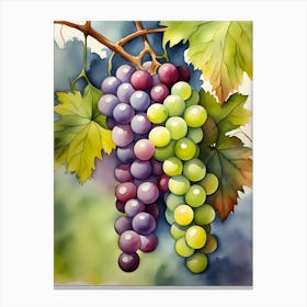 Watercolor Grapes Canvas Print