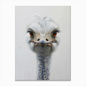 Ostrich 1 Canvas Print