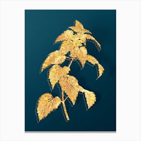 Vintage White Dead Nettle Plant Botanical in Gold on Teal Blue n.0337 Canvas Print