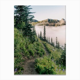 Wildflower Hike II Canvas Print