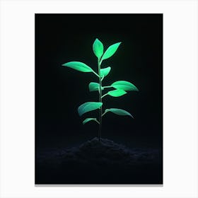 Green Plant In The Dark 8 Canvas Print