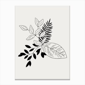 Black And White Drawing Of Leaves Canvas Print