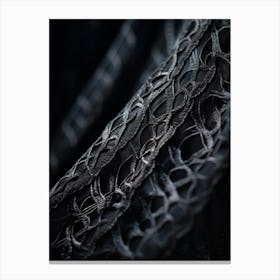 An Up Close View Of An Intricate Lace Texture Detailing The Fine Mesh Of Interwoven Fibers Contras (1) 2 Canvas Print