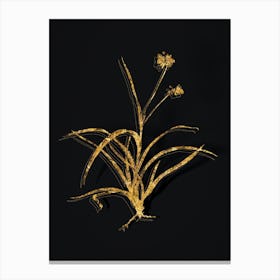 Vintage Spiderwort Botanical in Gold on Black Canvas Print