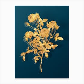 Vintage Burgundian Rose Botanical in Gold on Teal Blue n.0069 Canvas Print