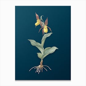 Vintage Lady's Slipper Orchid Botanical Art on Teal Blue Canvas Print