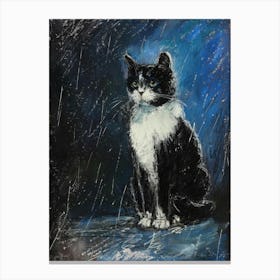 Cat In The Rain 7 Canvas Print