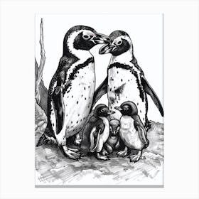 African Penguin Feeding Their Chicks 4 Canvas Print