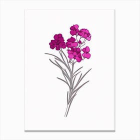 Sweet William Floral Minimal Line Drawing 4 Flower Canvas Print