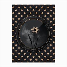 Shadowy Vintage Lady Tulip Botanical in Black and Gold n.0132 Canvas Print