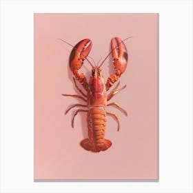 Lobster On A Pink Background Canvas Print