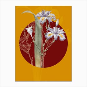 Vintage Botanical Butterfly Flower Iris Fimbriata on Circle Red on Yellow n.0188 Canvas Print