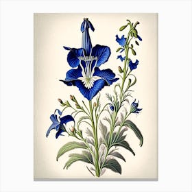 Bellflower 3 Floral Botanical Vintage Poster Flower Canvas Print