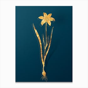 Vintage Lady Tulip Botanical in Gold on Teal Blue Canvas Print