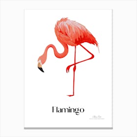 Flamingo. Long, thin legs. Pink or bright red color. Black feathers on the tips of its wings.7 Canvas Print