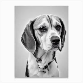 Beagle B&W Pencil dog Canvas Print