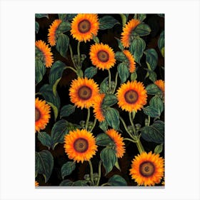 Sunflowers Night Garden Canvas Print