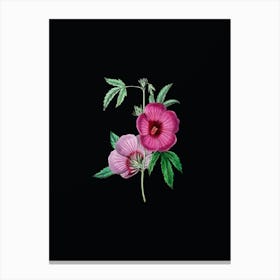 Vintage Mr.Lindley's Hibiscus Botanical Illustration on Solid Black n.0457 Canvas Print