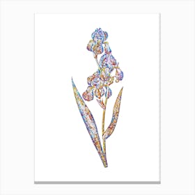 Stained Glass Dalmatian Iris Mosaic Botanical Illustration on White Canvas Print