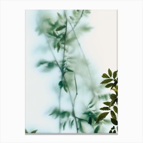 Leaves And Frosted Glass Canvas Print