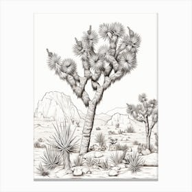  Detailed Drawing Of A Joshua Tree At Dawn In Desert 4 Canvas Print