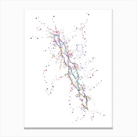 Collagen Protein Canvas Print