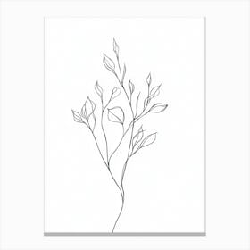 Line Drawing Of A Branch 1 Canvas Print